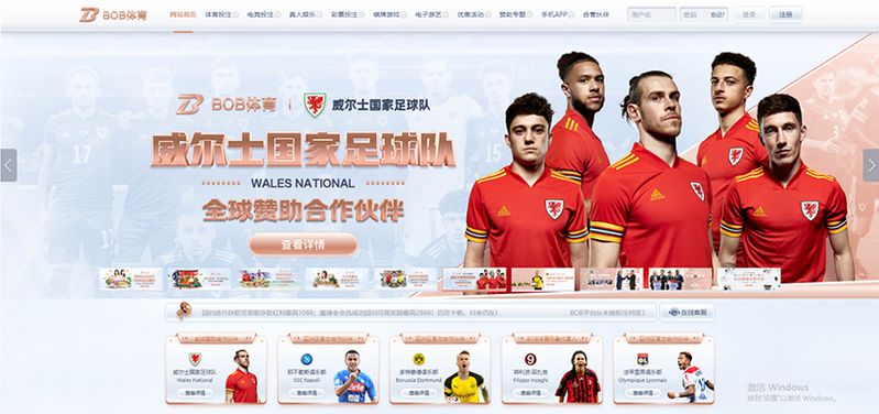 Bbet88体育 - 德甲多特蒙德官方合作伙伴 2 Bbet88体育简介